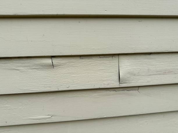 Affordable Siding Repair and Maintenance Services in Holly Hill, FL