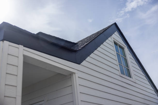 Best Aluminum Siding Installation  in Holly Hill, FL